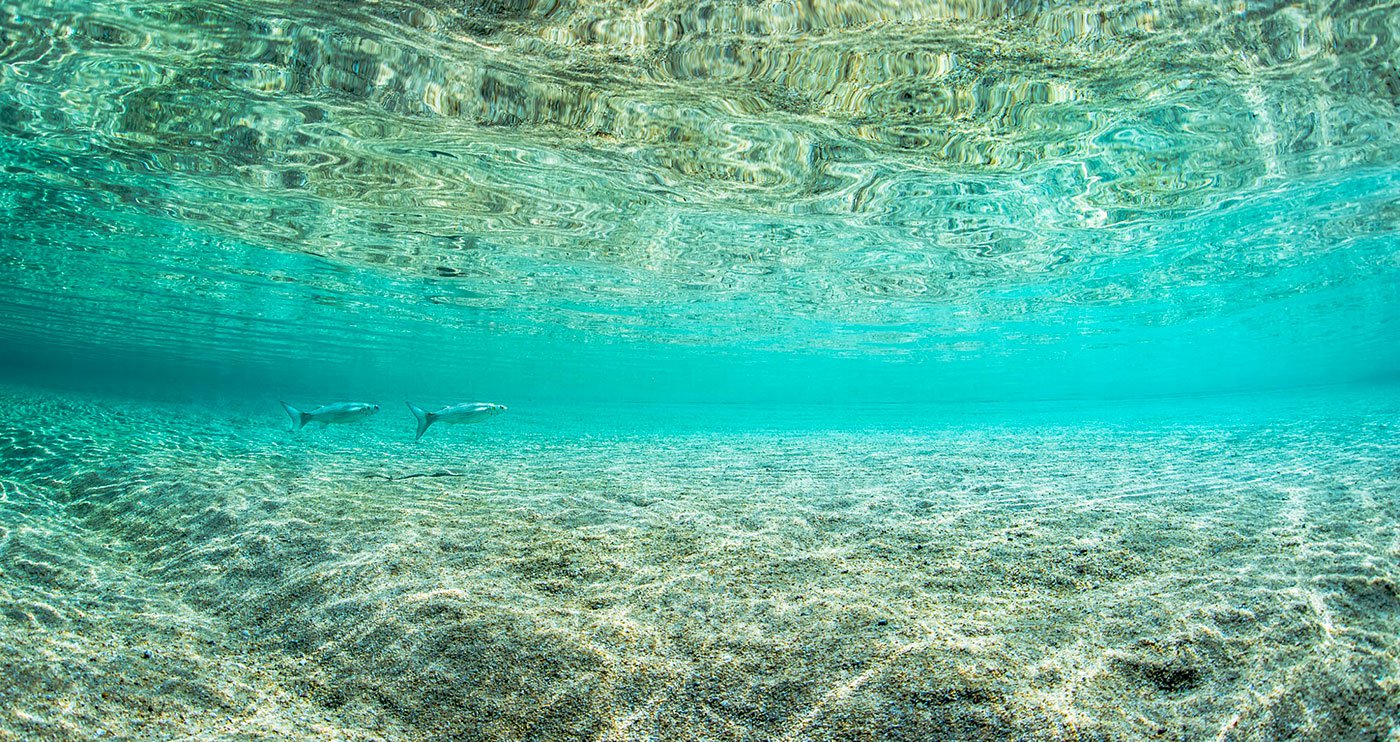 Plongée en Corse